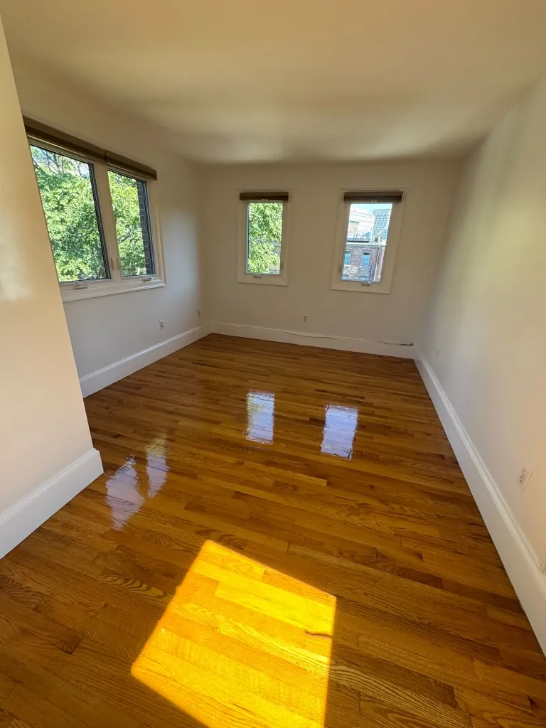 Bright, freshly cleaned sunlit room in Greater Boston, MA